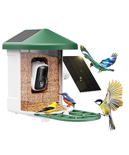 Best Bird Feeder With Camera