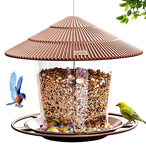 Best Bird Feeders That are Squirrel Proof