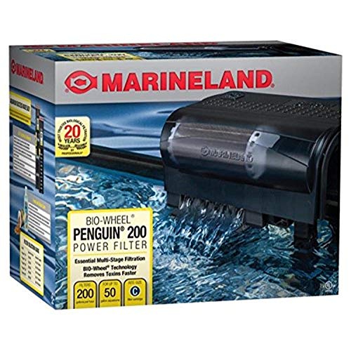 Best Filter for Marine Aquarium
