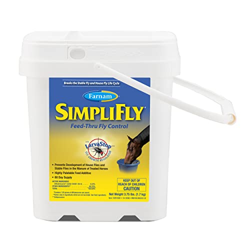 Best Horse Feed for Performance Horses