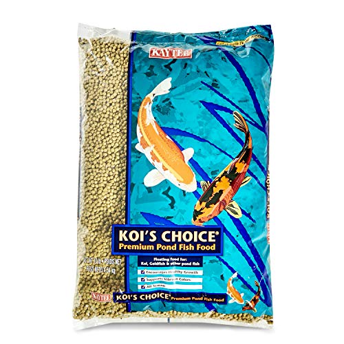 Best Koi Food for Growth