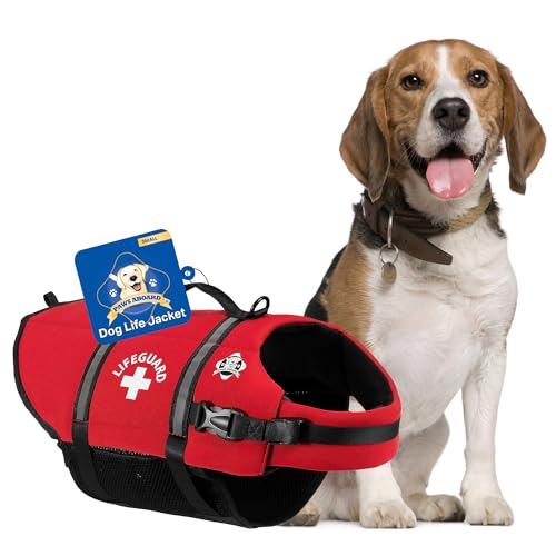 Best Life Jacket for Boston Terrier