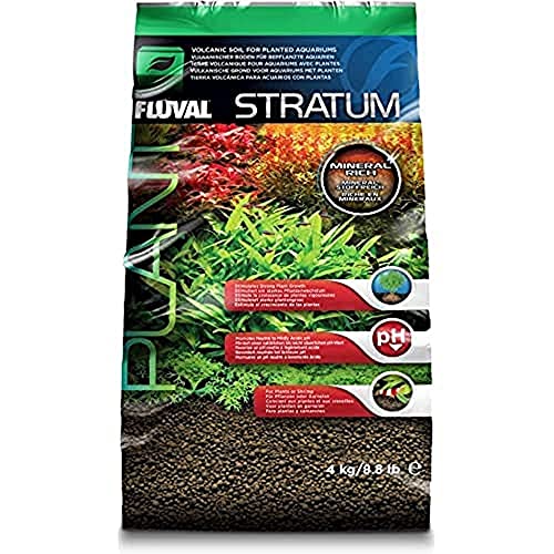 Best Plants for Shrimp Aquarium