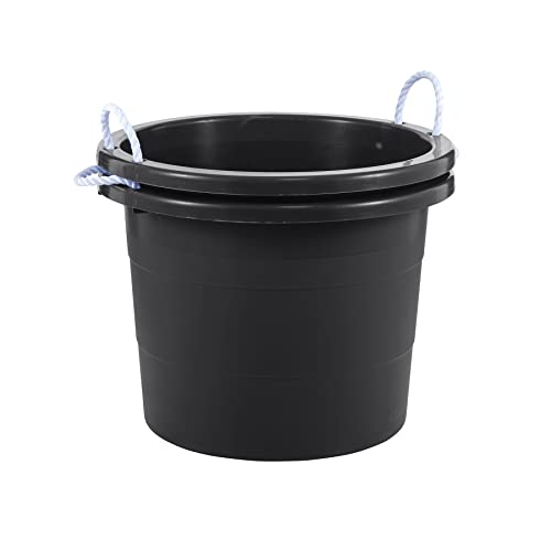 Best Protein Tub for Horses