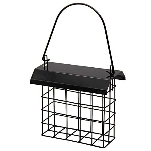 Best Single Suet Block Feeder