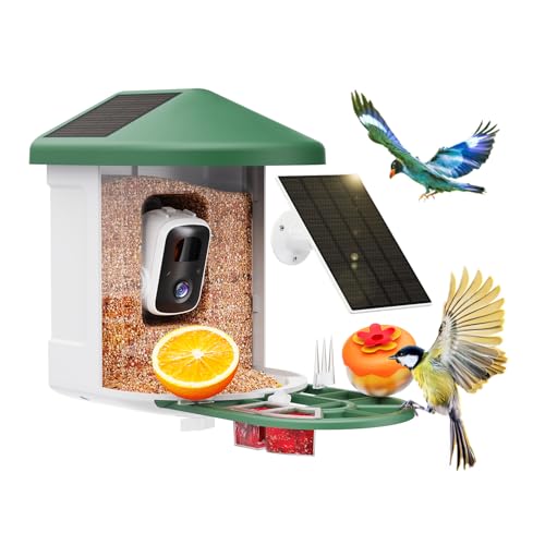 Best Smart Bird Feeder 2025