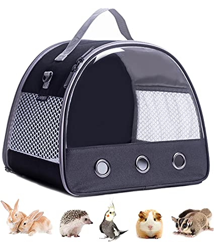 Best Bunny Carriers