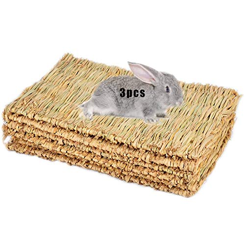 Best Rabbit Flooring