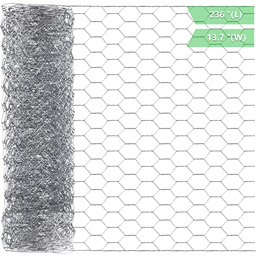 Best Wire for Rabbit Cages