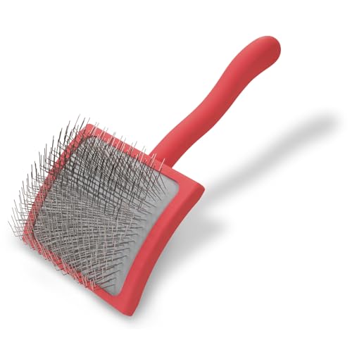Best Brush for Australian Labradoodle