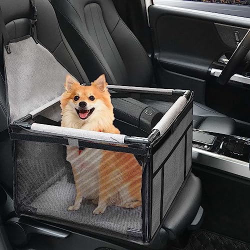 Best Car Seat for Dachshund