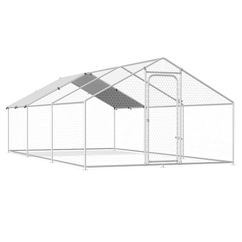 Best Chicken Coop for Backyard