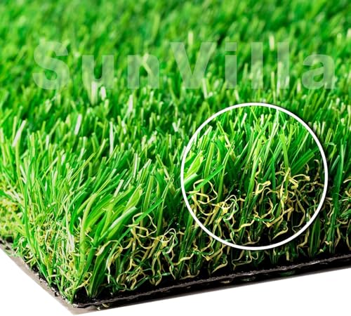 Best Grass for Heavy Traffic