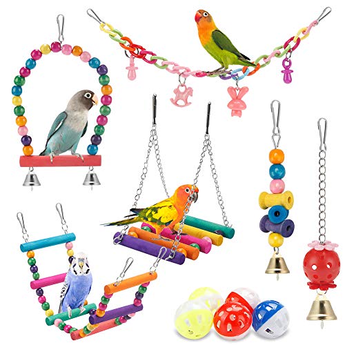 Best Parrot Toys