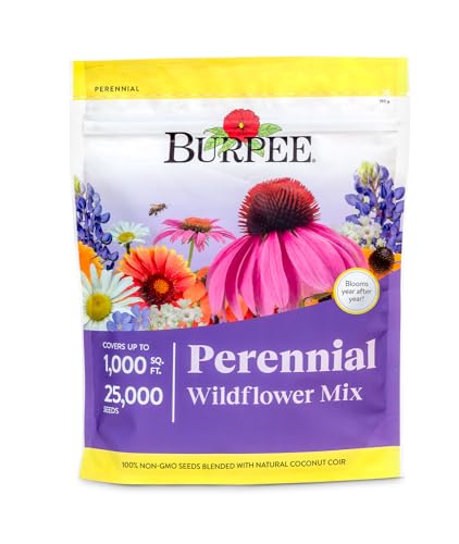Best Perennial Flowers for Virginia