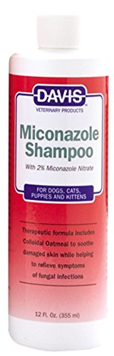 Best Shampoo for Guinea Pigs