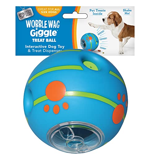 Best Toys for a Border Collie