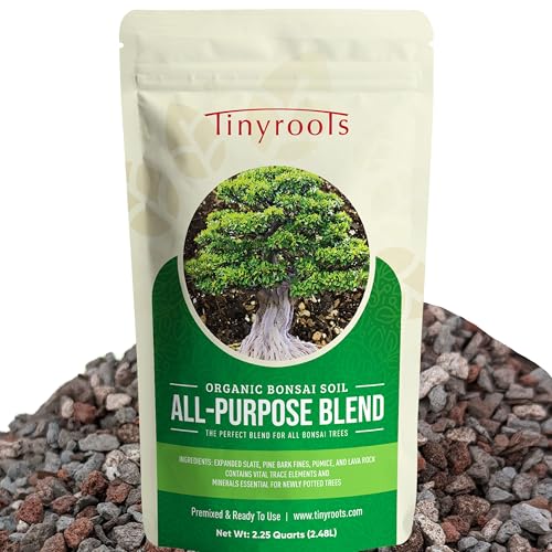 What is the Best Fertilizer for Bonsai