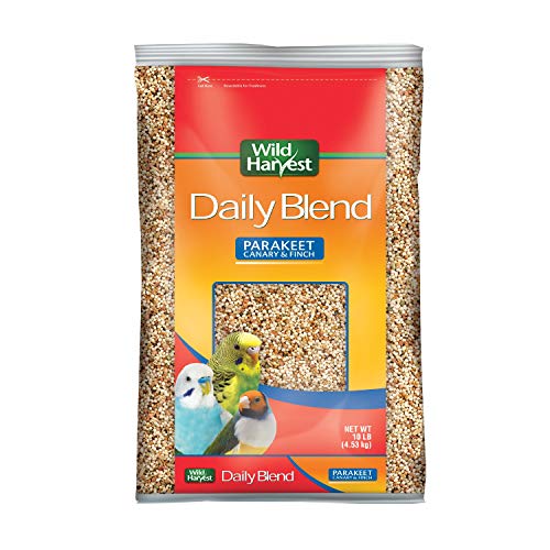 Best Red Factor Canary Food